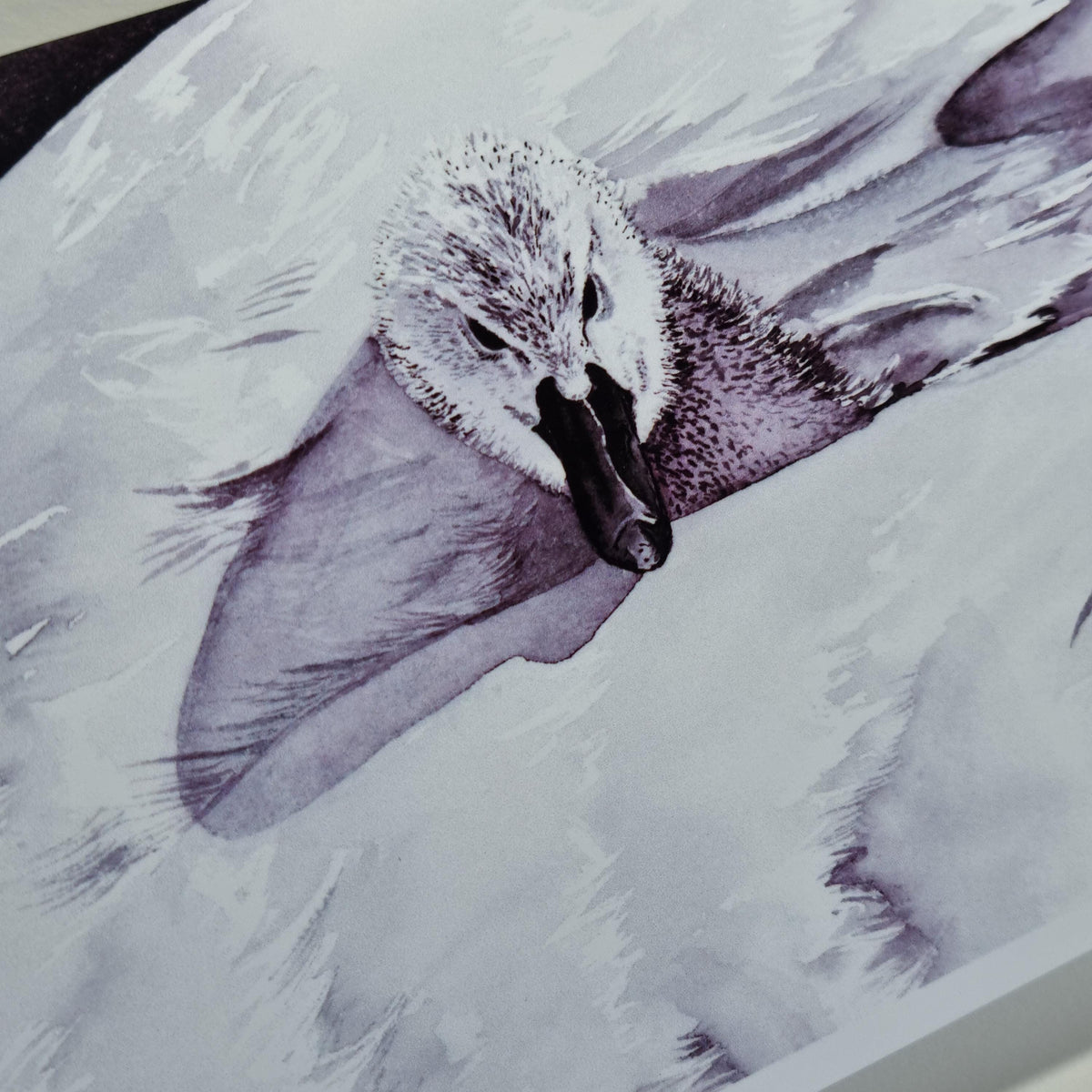 Swan Art Print Notecards - Handmade A6 Greeting Cards, Set of 6