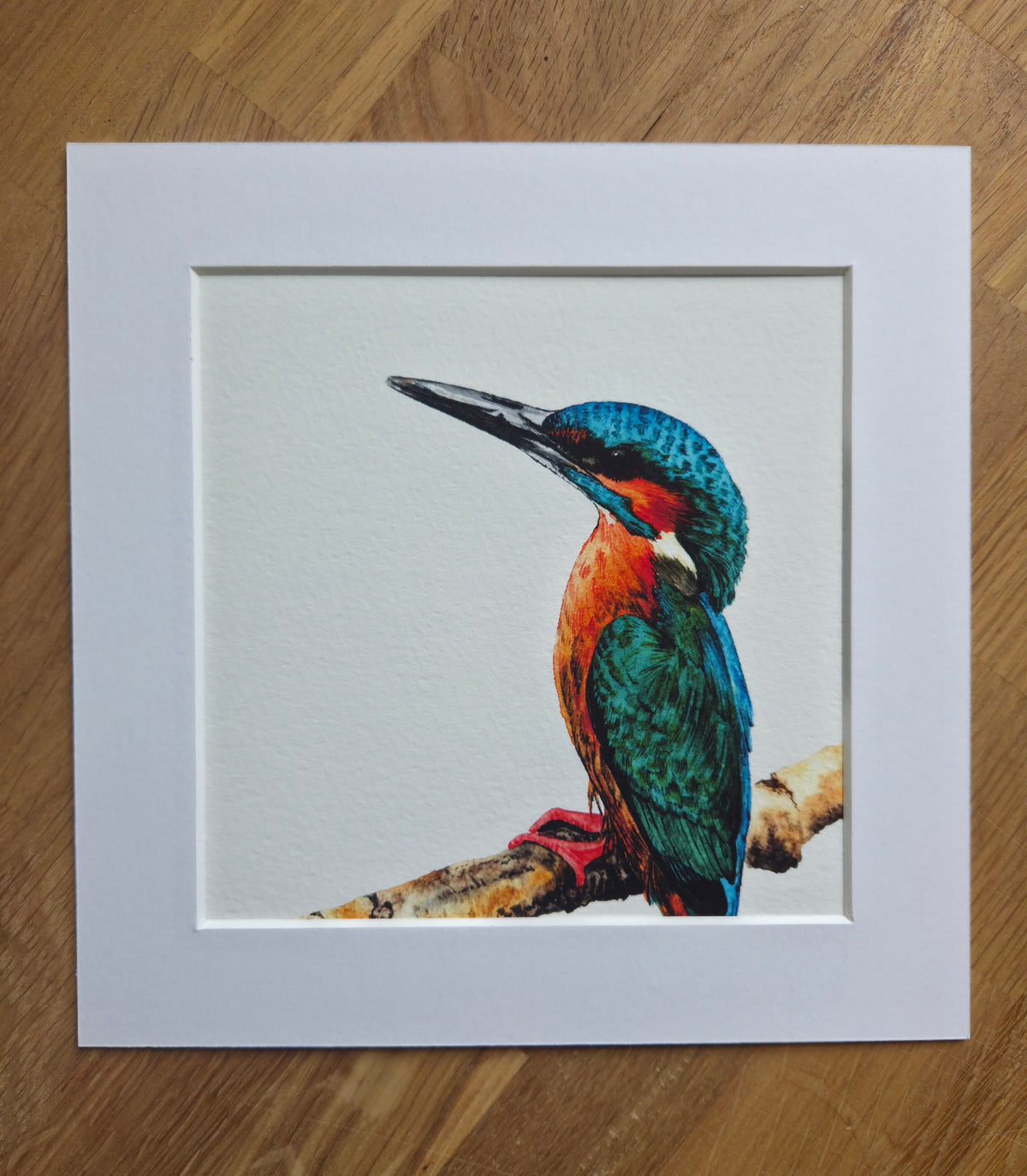 Kingfisher mini Art Print