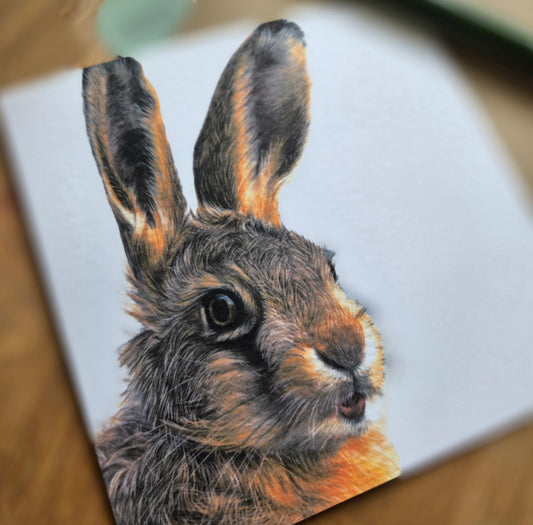Leveret (hare) Greetings Card