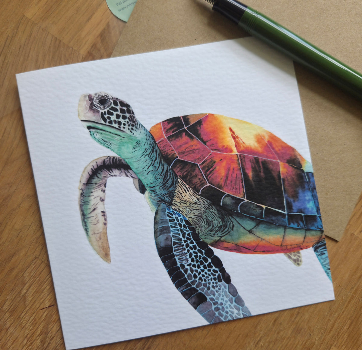 Turtle Greetings Card