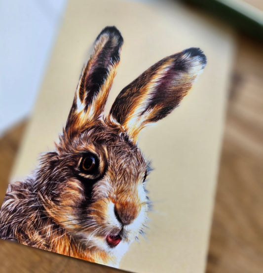 Leveret (hare) illustrated post card
