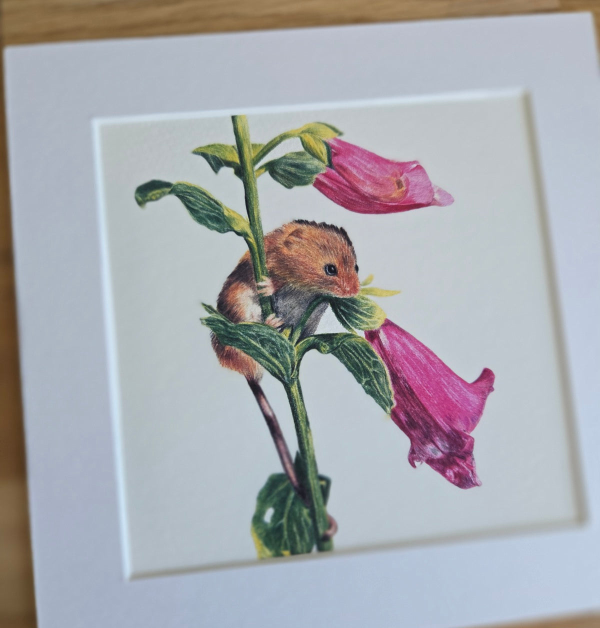 Mouse and Foxglove Art Print