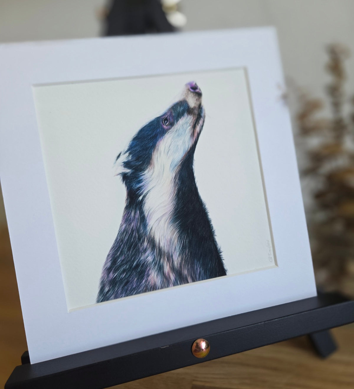 Badger Art Print