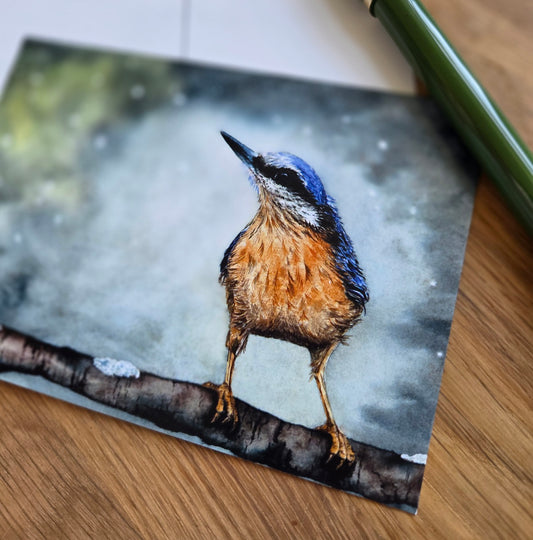 Nuthatch illustrated post card