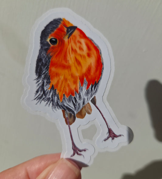 Handmade illustrated Robin Sticker | Hand-drawn (digital) Illustration Art Sticker