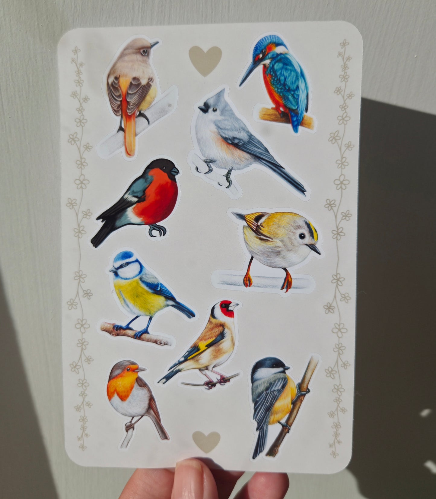 Set of 9 Bird Illustration Stickers | Digital Wildlife Sticker Sheet | Nature Journal Gift | Bird Lover