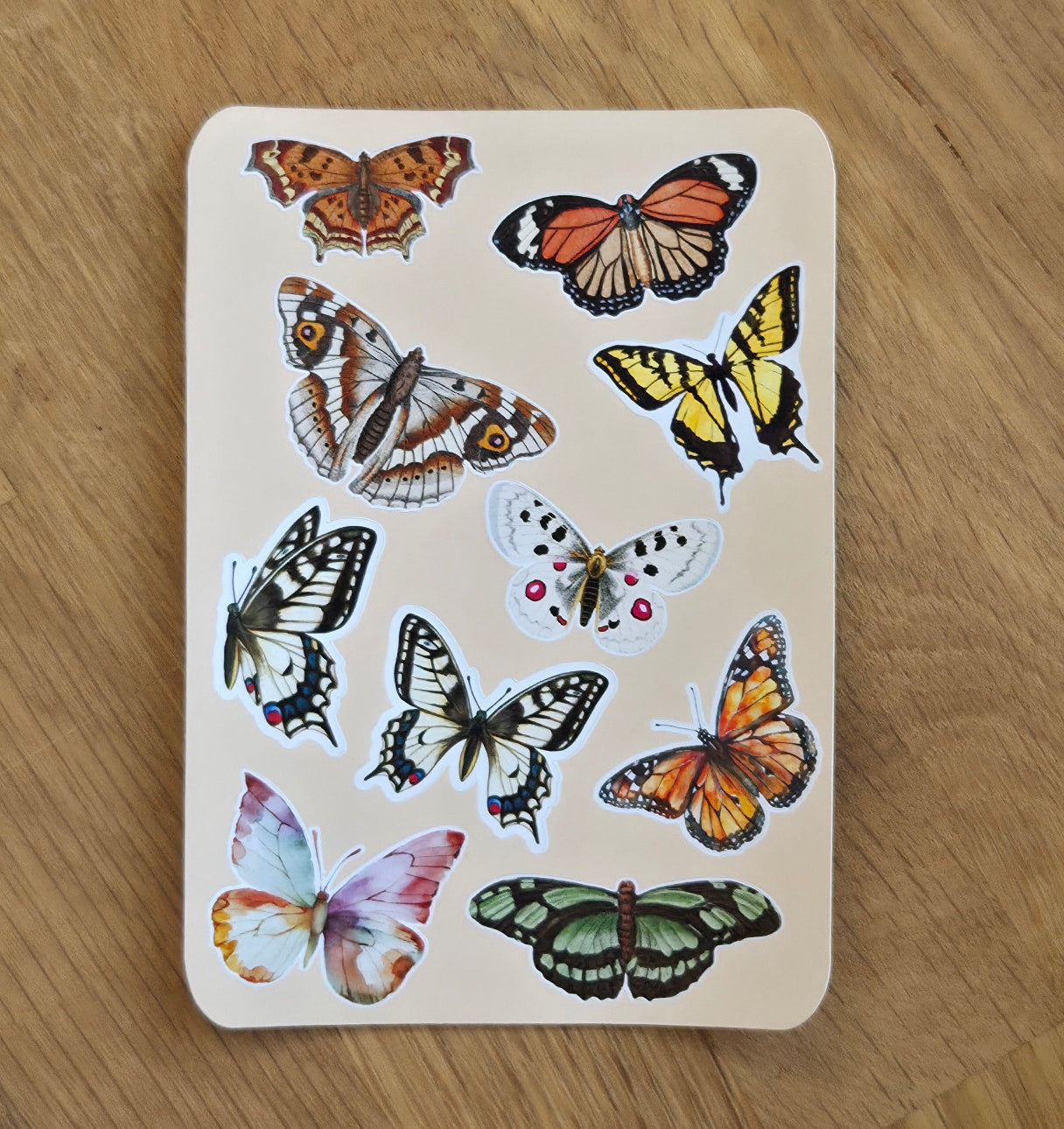 Butterfly/Moth illustration Sticker Sheet | 10 Stickers | Journal Sticker Set | Wildlife/nature Gift