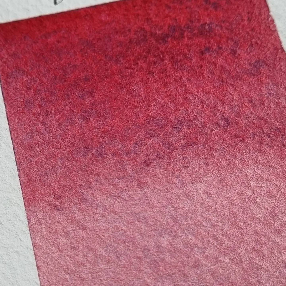 Handmade vegan watercolour paint | granulating and separating red/pink/purple/blue | Verbena