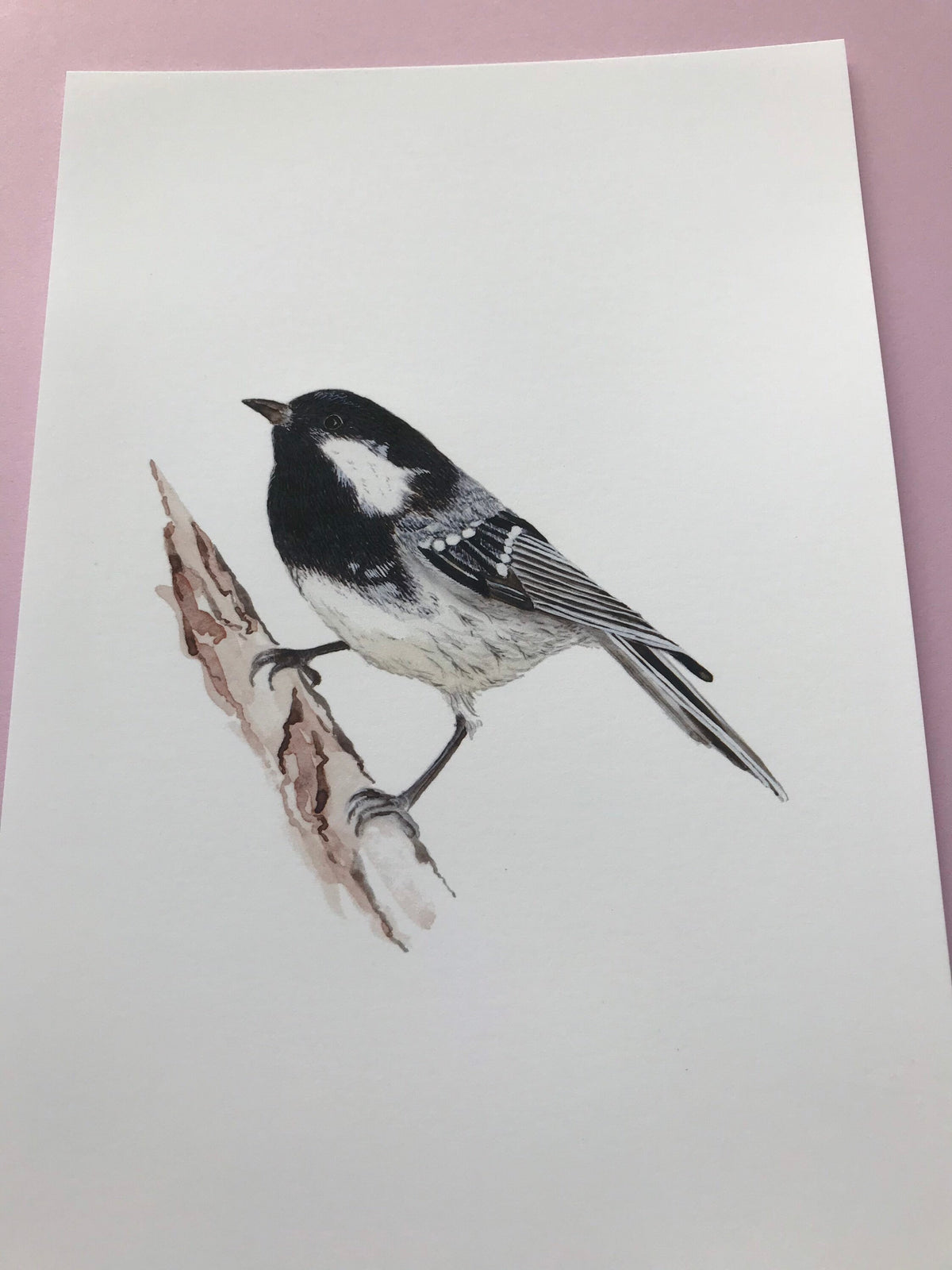A5 hand painted Watercolour print  Coal Tit Print | Wildlife | Bird | wall art