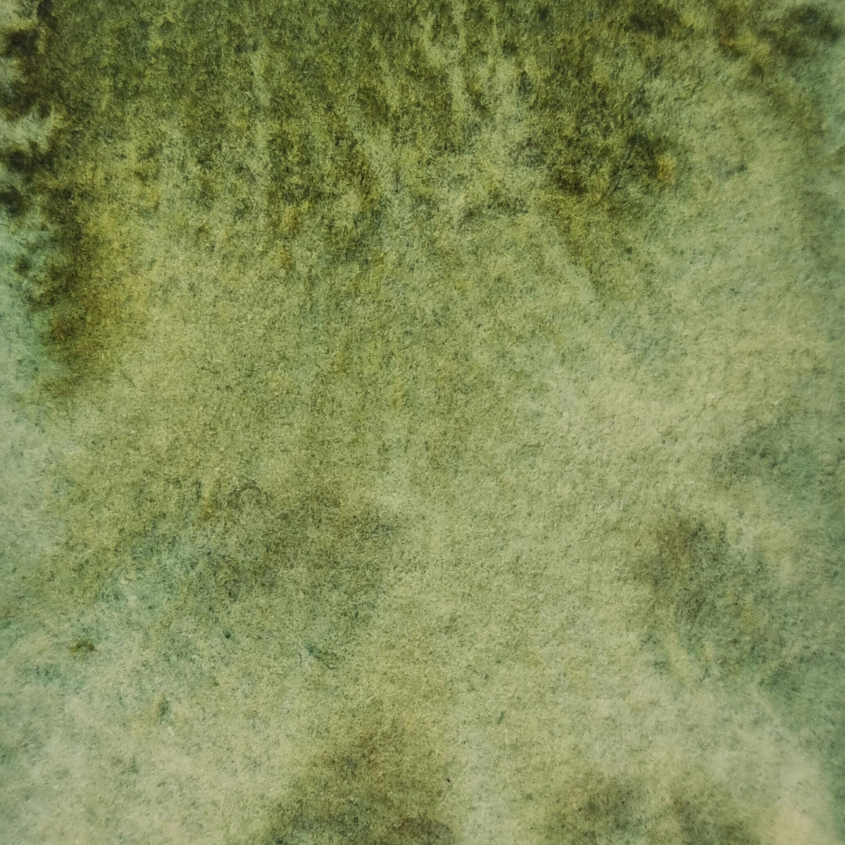 Handmade watercolour paint | granulating/separating Dark Green/yellow |  Juniper Moss | artist gift