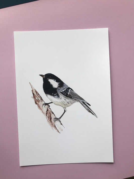 A5 hand painted Watercolour print  Coal Tit Print | Wildlife | Bird | wall art
