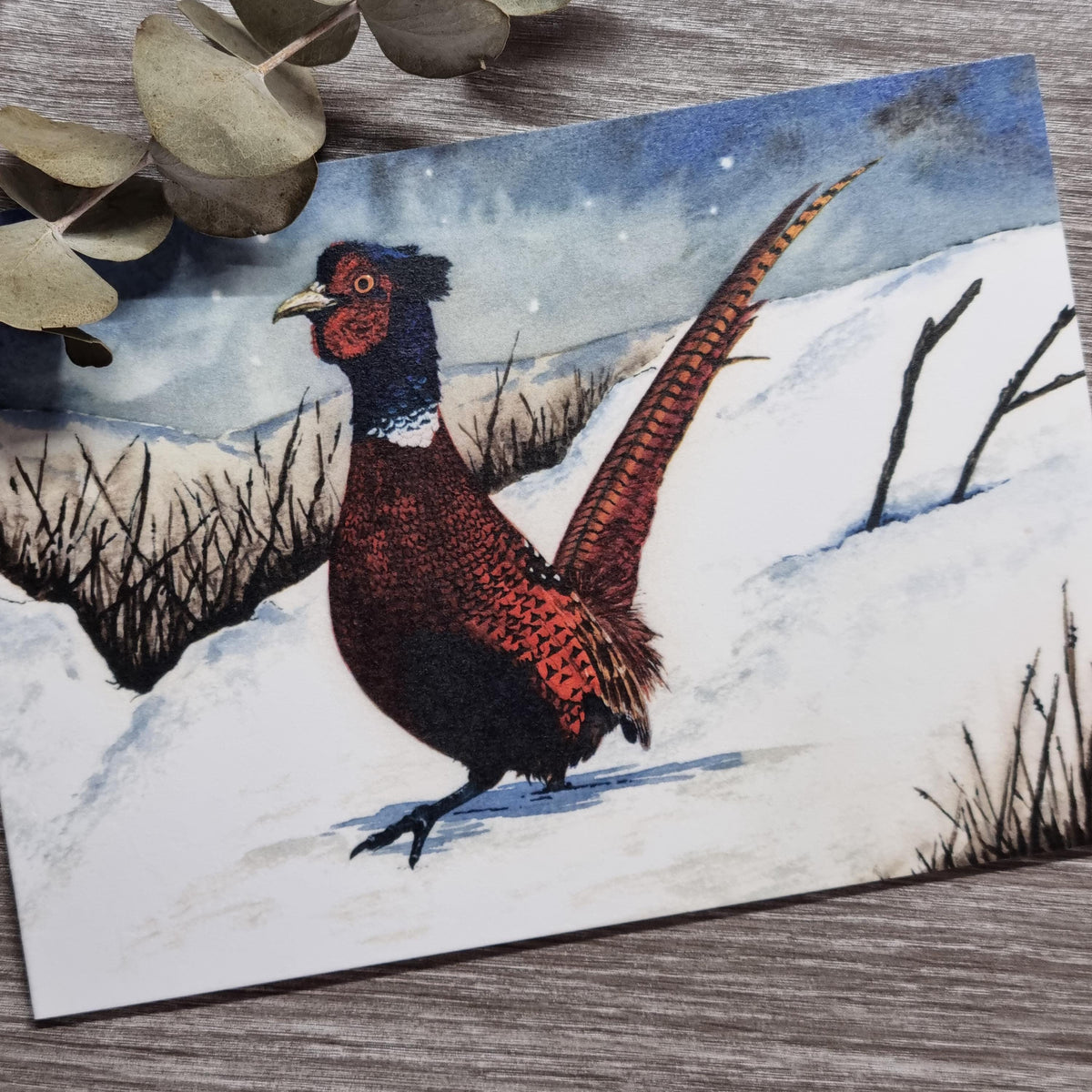 Watercolor Christmas Cards | UK Wildlife Art Print, Pack of 12