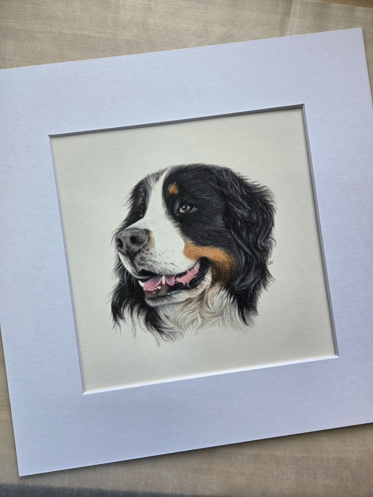 Custom Pet Portrait Hand Drawn in Colour Pencil – Head Study 8x8" Mounted to 12x12" | Personalised Dog Cat Portrait Gift