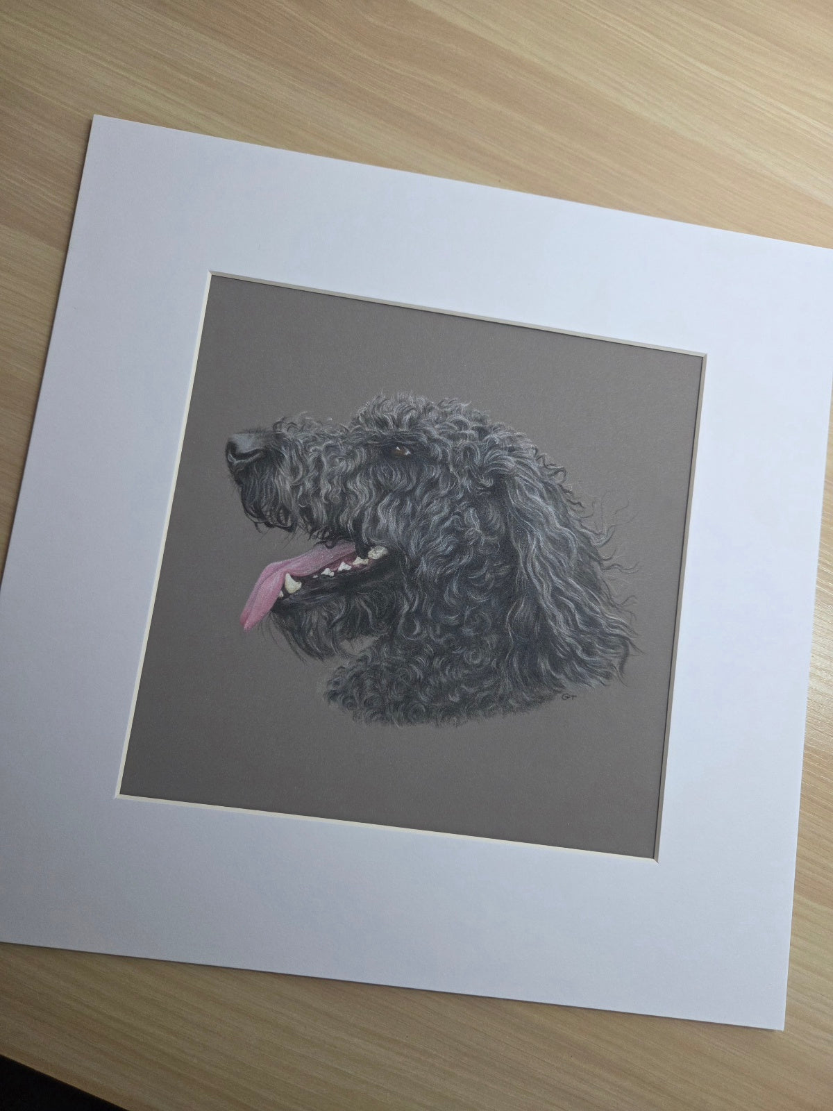 Custom Pet Portrait Hand Drawn in Colour Pencil – Head Study 8x8" Mounted to 12x12" | Personalised Dog Cat Portrait Gift