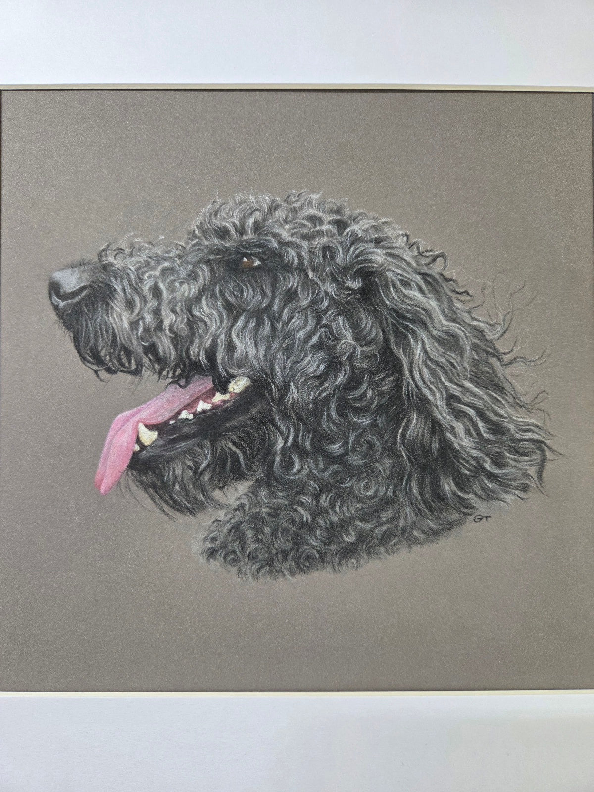 Custom Pet Portrait Hand Drawn in Colour Pencil – Head Study 8x8" Mounted to 12x12" | Personalised Dog Cat Portrait Gift