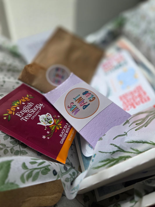 Nibs Paint Club - Tier 1 Box - Canada, NZ or Aus only