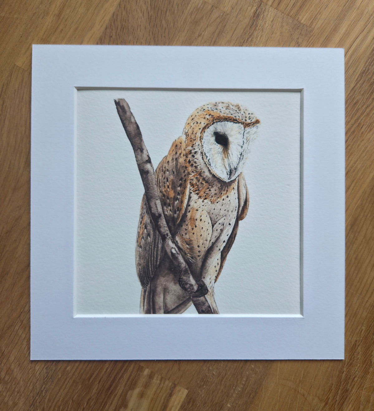 Barn Owl mini Art Print