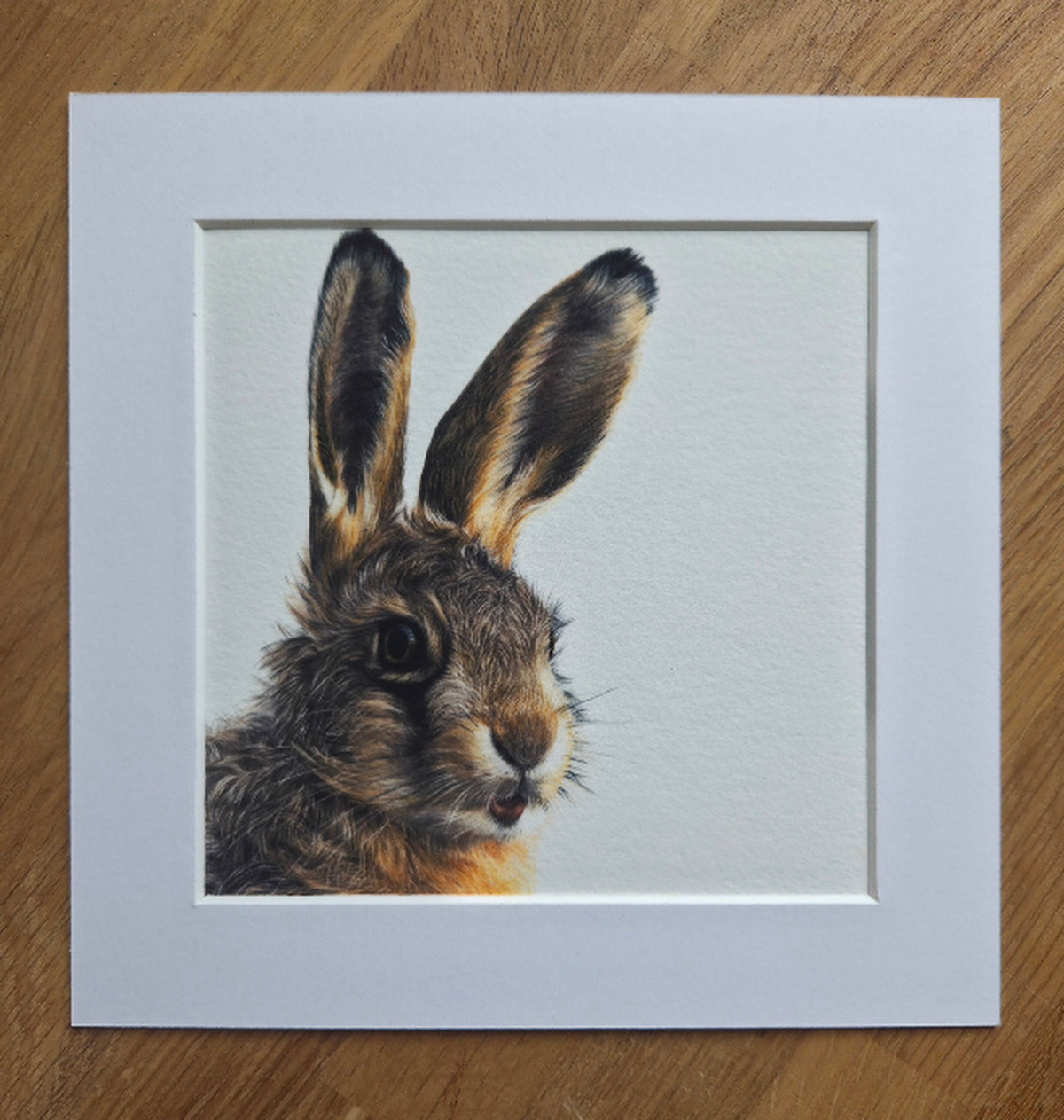 Leveret (hare) mini Art Print