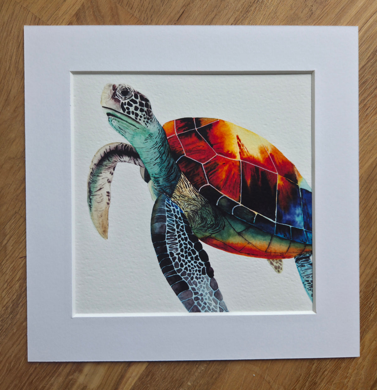 Turtle mini Art Print