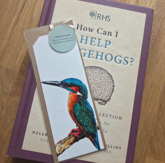 Art print bookmark: Kingfisher