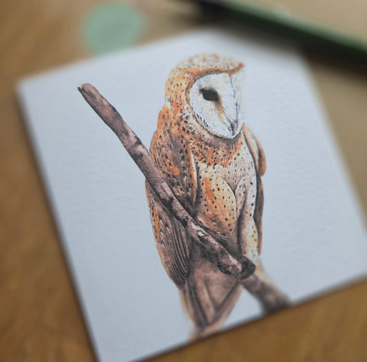 Barn Owl Greetings Card