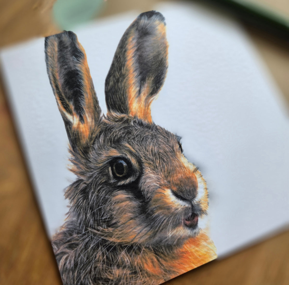 Leveret (hare) Greetings Card