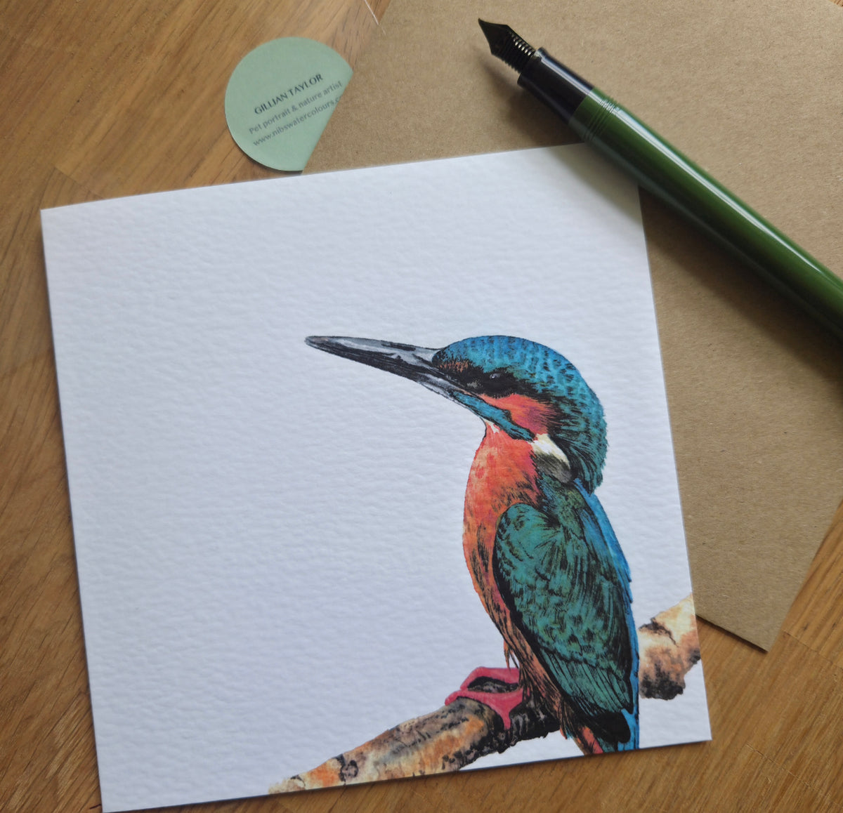 Kingfisher Greetings Card