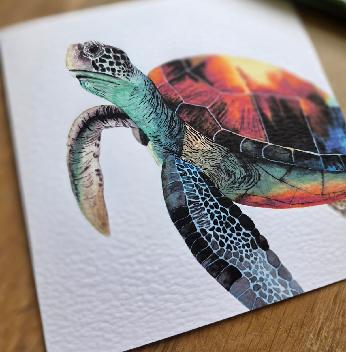 Turtle Greetings Card
