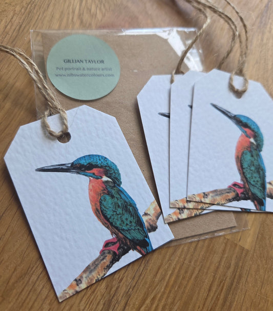 Set of 4 gift tags: Kingfisher