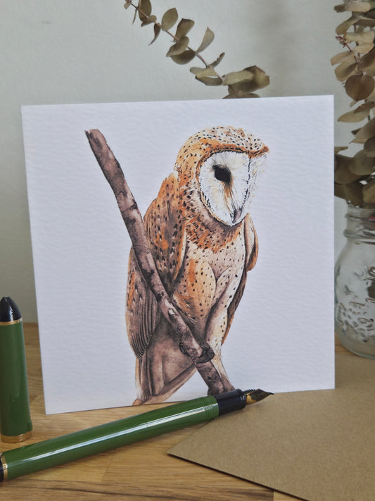 Barn Owl Greetings Card