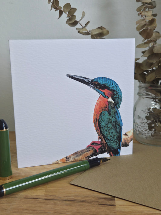 Kingfisher Greetings Card