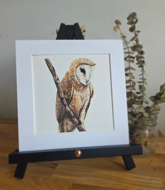 Barn Owl mini Art Print