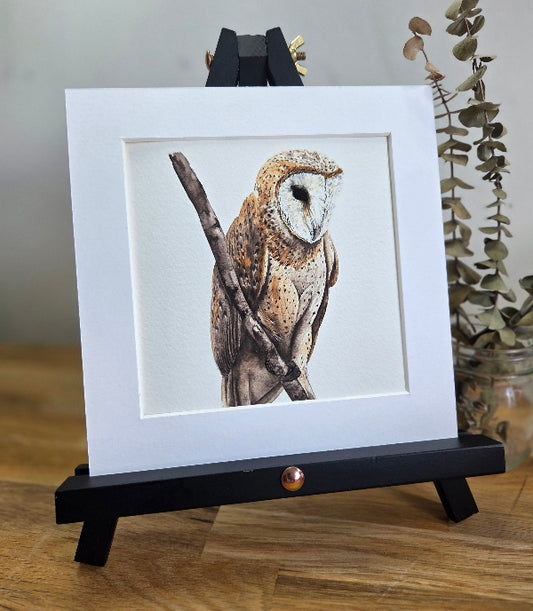 Barn Owl mini Art Print