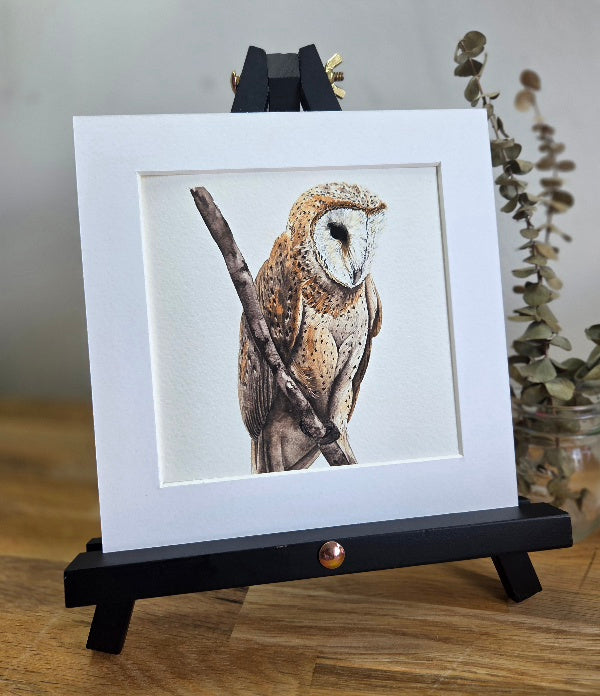 Barn Owl mini Art Print