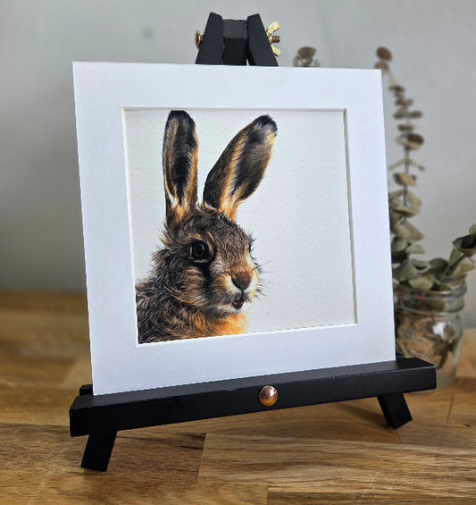 Leveret (hare) mini Art Print