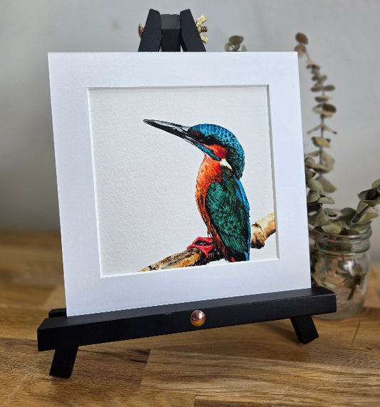 Kingfisher mini Art Print