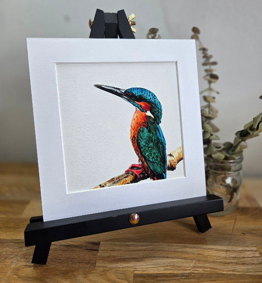 Kingfisher mini Art Print