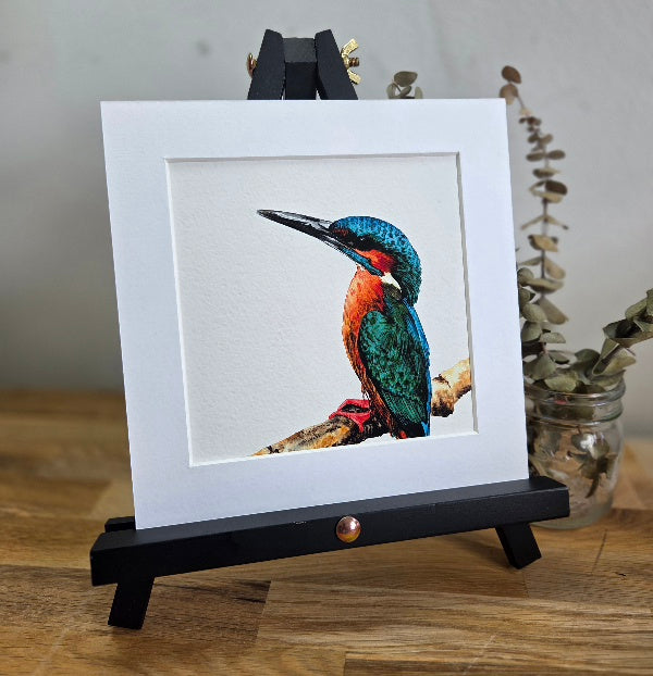 Kingfisher mini Art Print