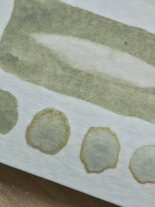 Handmade vegan watercolour paint | Previous Paint Club Paint | Eir | Sage Green