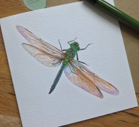 Dragonfly Greetings Card