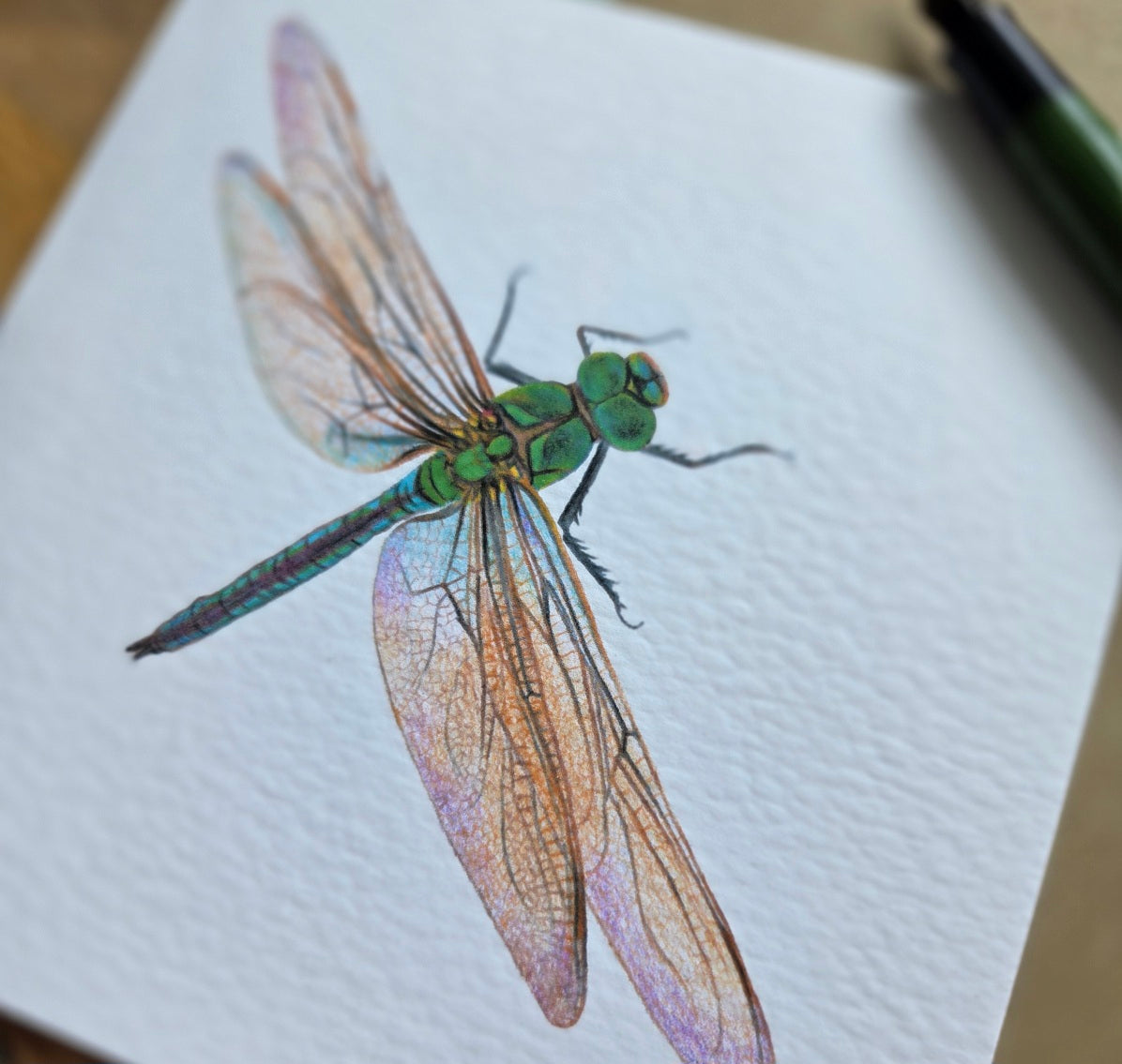 Dragonfly Greetings Card