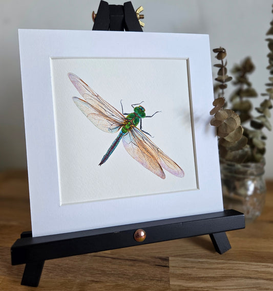 Dragonfly mini Art Print