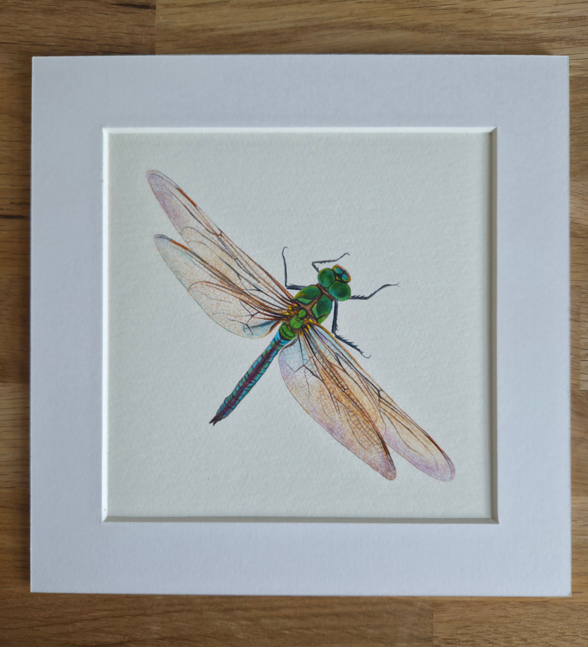 Dragonfly mini Art Print