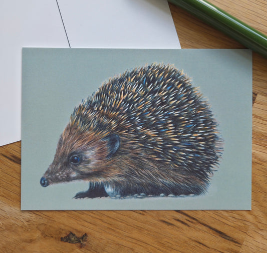 Hedgehog illustrated post card