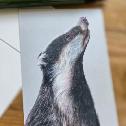 Badger illustrated post card