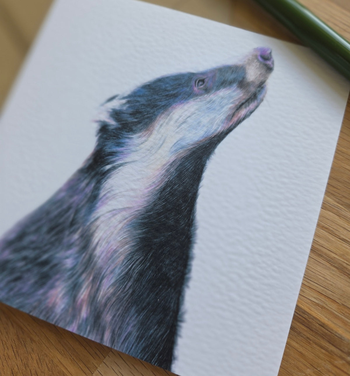 Badger Greetings Card