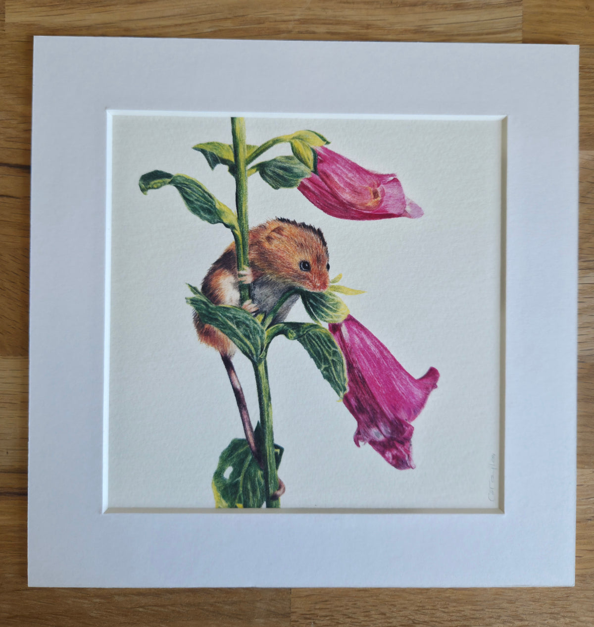 Mouse and Foxglove Art Print