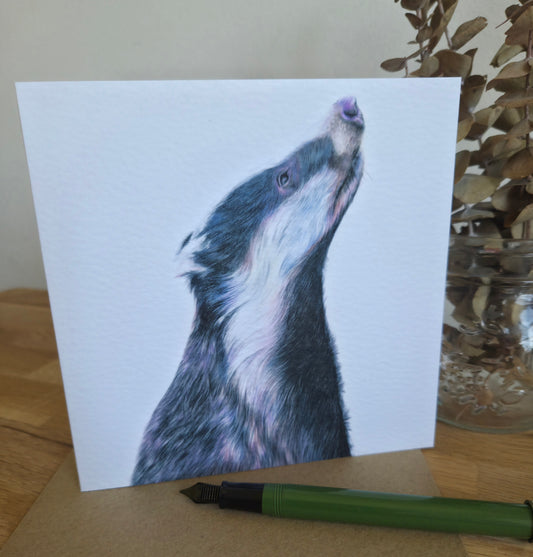 Badger Greetings Card