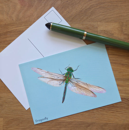 Dragonfly illustrated post card