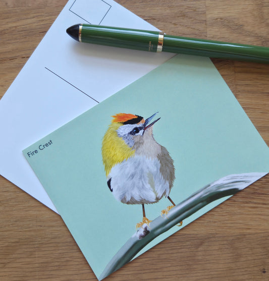 Firecrest bird illustrated post card
